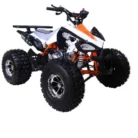 Tao Motor Cheetah 125 ATV