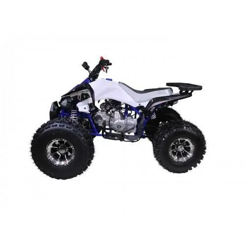 125-NEW-CHEETAH-005-NewCHEETAH_20BlueLS1200.900-500x500_1400x-1.webp 125-NEW-CHEETAH-005-NewCHEETAH_20BlueLS1200.900-500x500_1400x-1.webp