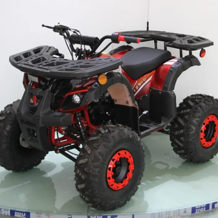 125ATV-U8SP-001-3-41.webp
