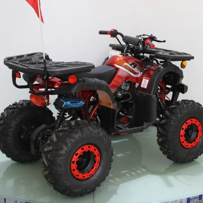 125ATV-U8SP-006-6-31.webp