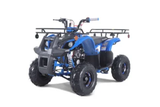 New Tao Motor D125 ATV 107cc, Air Cooled, 4-Stroke, 1-Cylinder, Automatic with Reverse