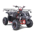 125D-UPGRADED-006-5-62-scaled-1.webp