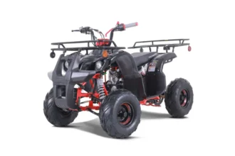 2022 Tao Motor D125 107cc ATV
