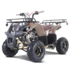 2022-D125-ATV-003-3-1-scaled-1.webp
