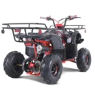 2022-D125-ATV-020-D125_passenger_3Q_rear_blackred-scaled-1.webp