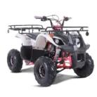 2022-D125-ATV-023-D125_passenger_3Q_whitepink-scaled-1.webp