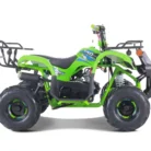 2022-D125-ATV-024-D125_passenger_side-scaled-1.webp