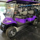 2023 Aetric A60L Purple six-seat 160Ah lithium LSV