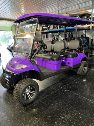 2023 Aetric A60L Purple six-seat 160Ah lithium LSV