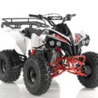 Apollo-SPORTRAX-125cc-018-image-4.webp