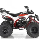 Apollo-SPORTRAX-125cc-019-image-5.webp