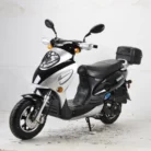 Bahama-new-49cc-002-1-85.webp