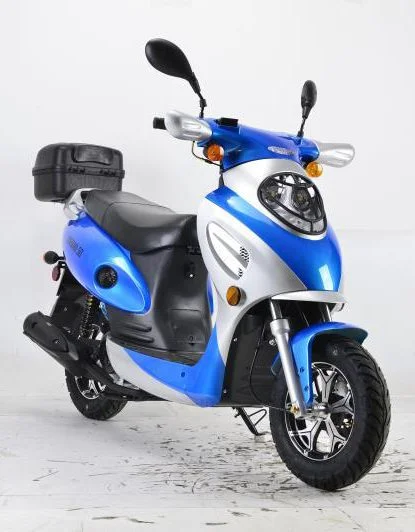 Bahama-new-49cc-005-5-80.webp Bahama-new-49cc-005-5-80.webp