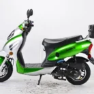 Bahama-new-49cc-008-8-68.webp