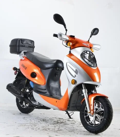 Bahama-new-49cc-009-9-64.webp Bahama-new-49cc-009-9-64.webp