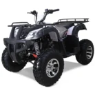 Bull-200-Atv-002-2.webp