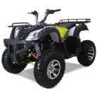 Bull-200-Atv-003-3.webp