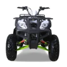 Bull-200-Atv-004-4.webp