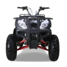 Bull-200-Atv-005-5.webp