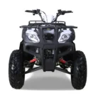 Bull-200-Atv-006-6.webp