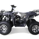 Bull-200-Atv-008-8.webp