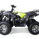 Bull-200-Atv-009-9.webp