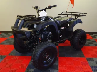 RPS Desert 200 Utility ATV, Automatic with Reverse, 4-Stroke, Single Cylinder, Air Cooled, 21-Inch Tires