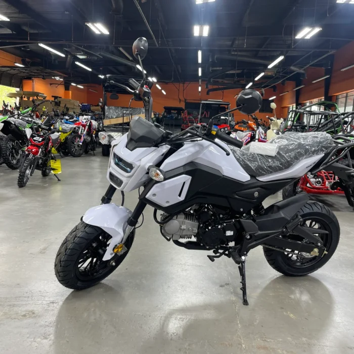 Boss Motor Vader 125 DF125RTR motorcycle