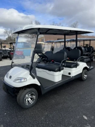 2023 Elite Alset EV6 Crystal Pearl White six-passenger LSV