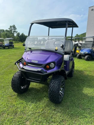 2025 E-Z-GO S4 golf cart in Plum Purple