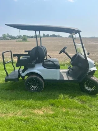 2025 E-Z-GO Express S4 Gas golf cart in Stardust