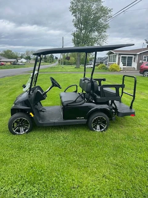 Electric golf carts for sale in USA at DLR Golf Carts - E-Z-GO Valor 4
