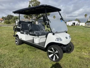 New Evolution Carrier 6 Plus electric golf cart