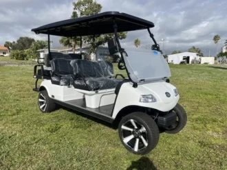 New Evolution Carrier 6 Plus electric golf cart