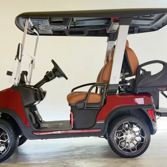 EMT-25901-008-Tara-Roadster-22-4-passenger-For-sale-a.webp