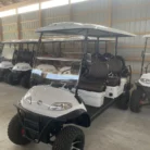 2024 Elite Alset EV6L Pearl White with Dark Brown diamond seating