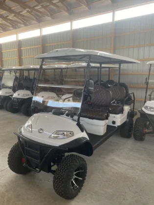 2024 Elite Alset EV6L Pearl White with Dark Brown diamond seating