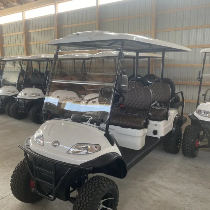 2024 Elite Alset EV6L Pearl White with Dark Brown diamond seating