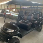 2024 Elite Alset EV6L Vanta Black with custom croc-textured seating