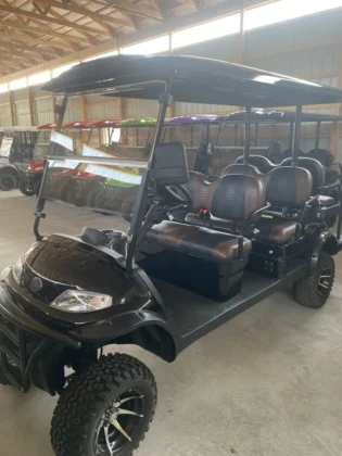 2024 Elite Alset EV6L Vanta Black with custom croc-textured seating
