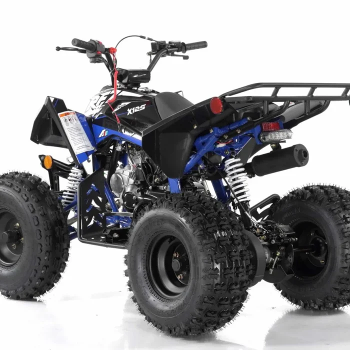 FALCON-X-125CC-017-17-1.webp