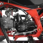 FALCON-X-125CC-028-28.webp