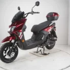FIGHTER-PRO-50CC-024-Fighter-Pro-50cc-24.webp
