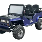 GR2-150cc-003-3.webp