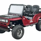 GR2-150cc-004-4.webp