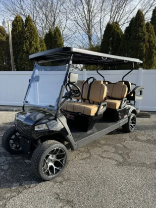 2024 Honor LSV G1 Gloss Black 4+2 with Tan upholstery
