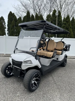 2025 Honor LSV G1 Pearl White 4+2 with Black wheels and Tan seating