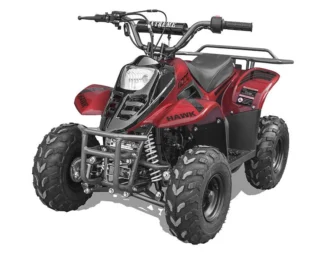 Vitacci Rex 110 Kids ATV, 4-stroke, single-cylinder, air-cooled