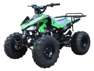 Tao Motor Cheetah ATV