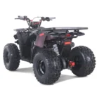 MUDHAWK-10-ATV-004-3-78-scaled-1.webp